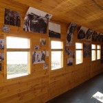 Меморіальний комплекс «Пам’яті героїв Крут»